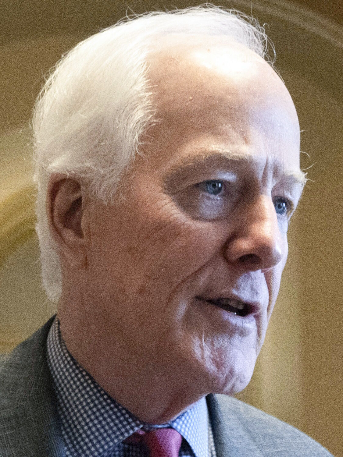 Cornyn Announces Run For Senate GOP Leader | National | Decaturdaily.com