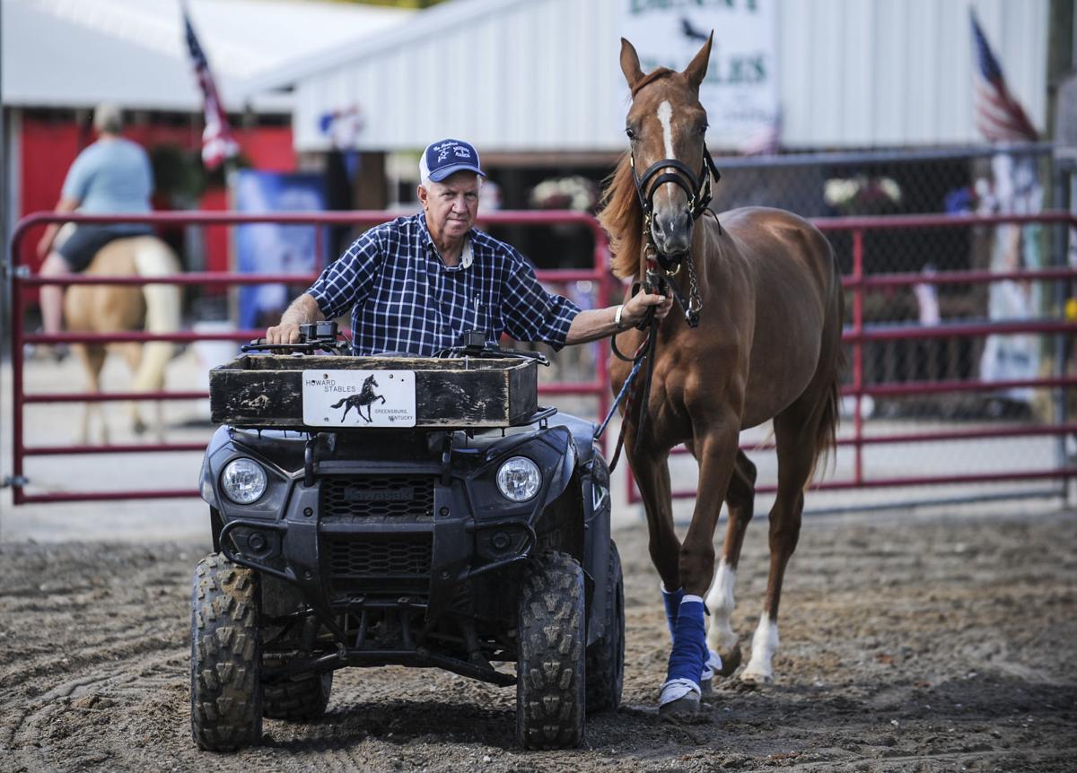 Racking Horse World Celebration News