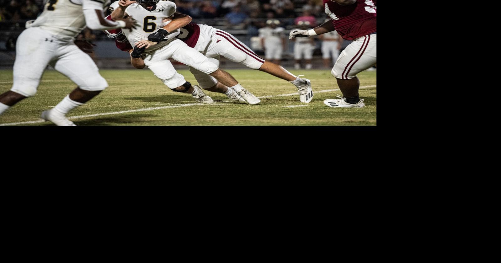 DecaturDaily.com - Tigers blow out Bearcats with 42-0 win to open region play image