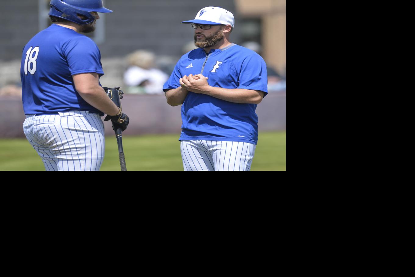DecaturDaily.com - Big bats carry Falkville to second round image
