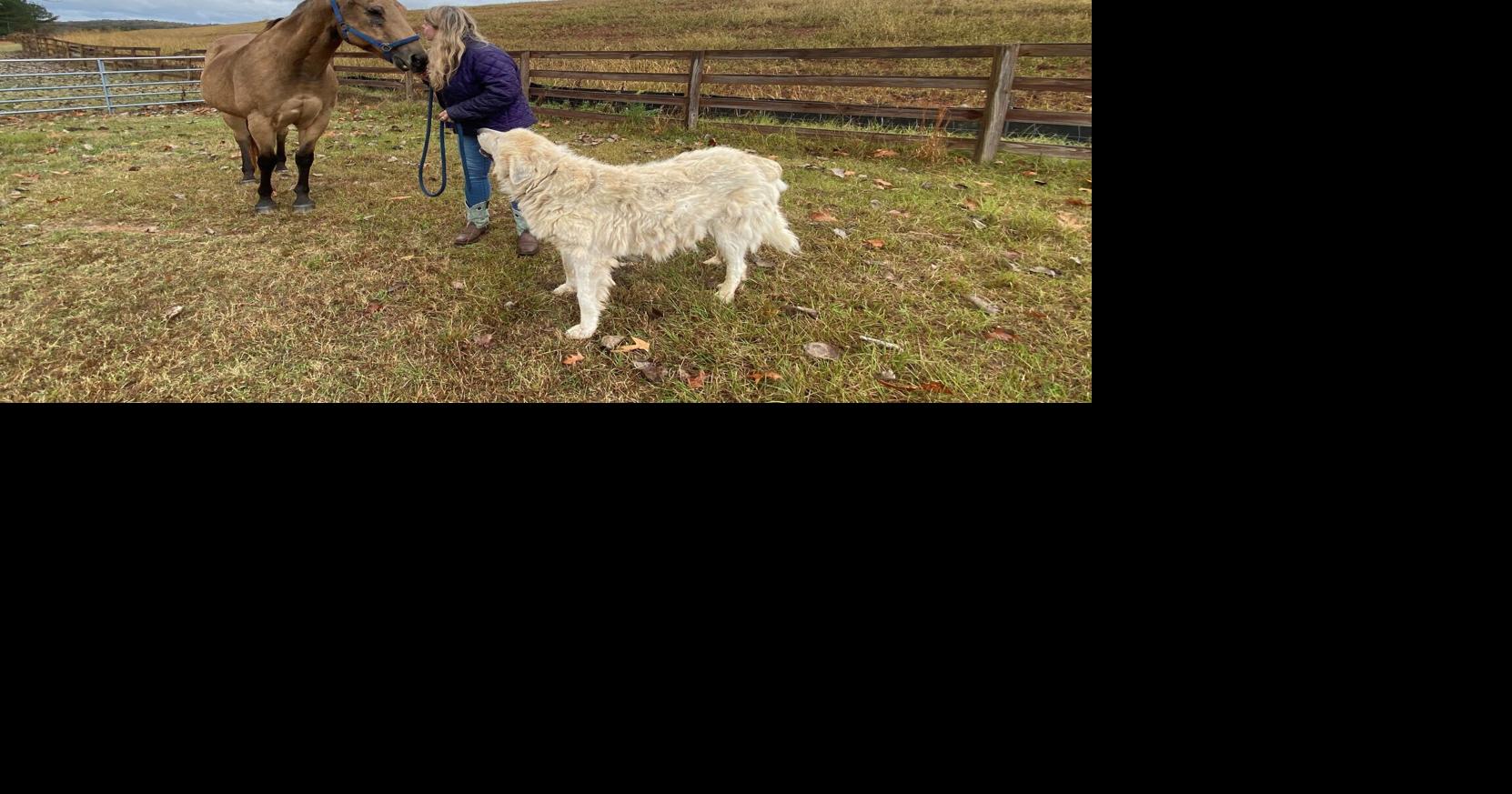 Lacey's Spring community fighting proposed rock quarry County