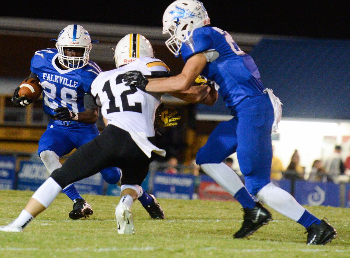 Falkville vs. Priceville Gallery