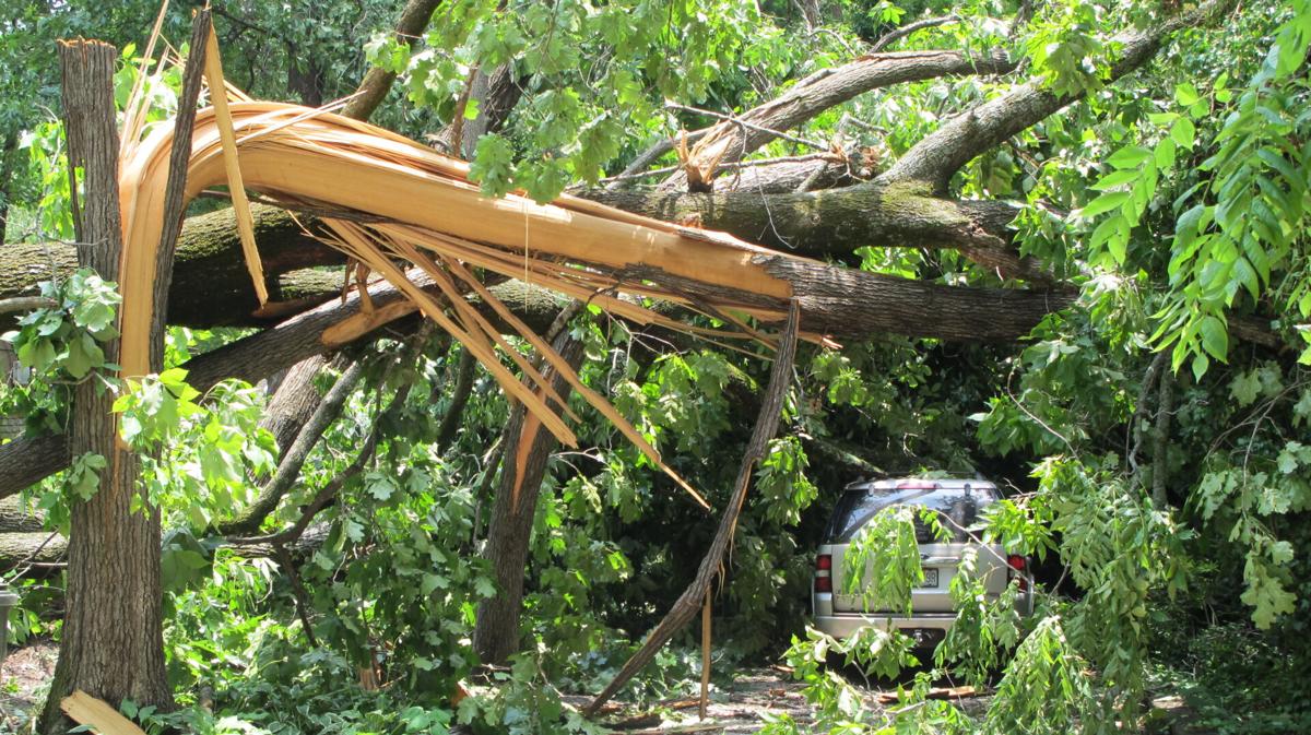 June 12 storm damage in Decatur