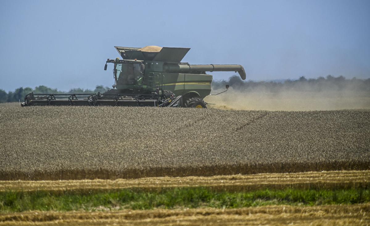 Grain Trade Re-Invented: global Agri-Tech provider Agro.Club enters Brazil