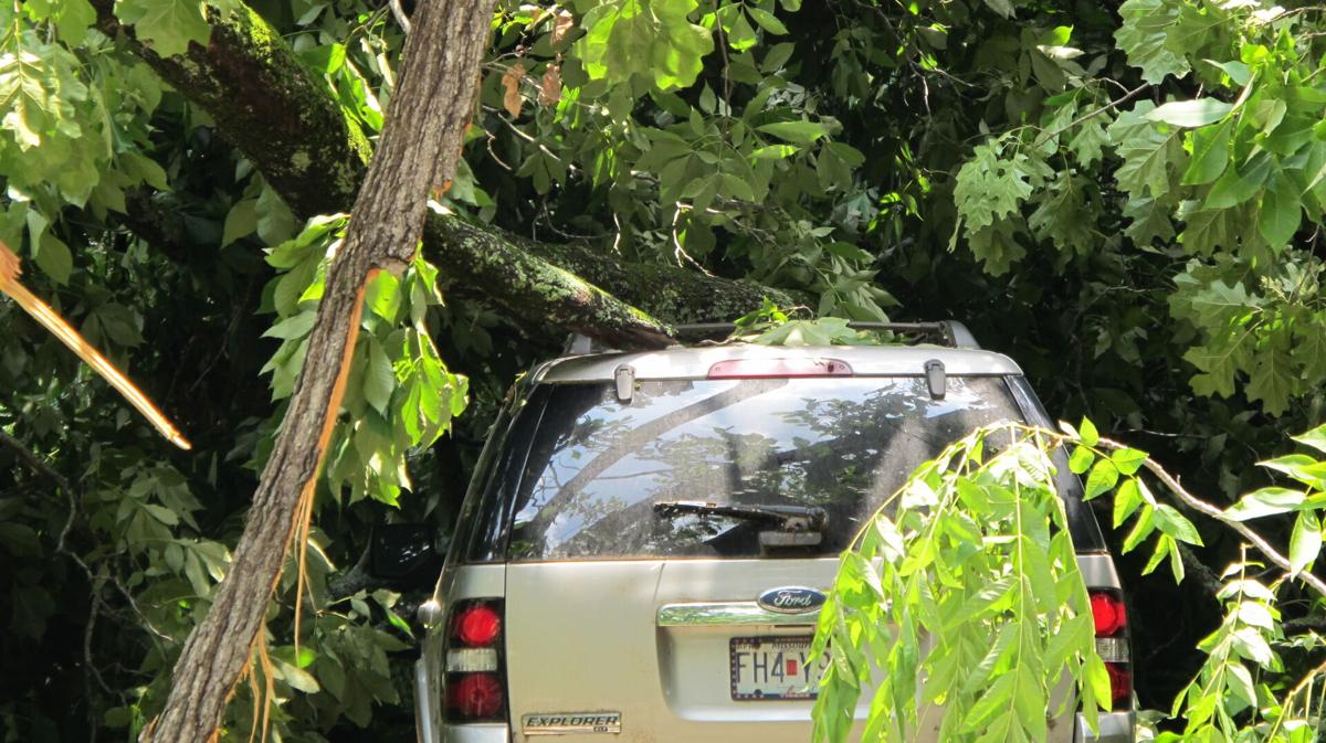 June 12 storm damage in Decatur