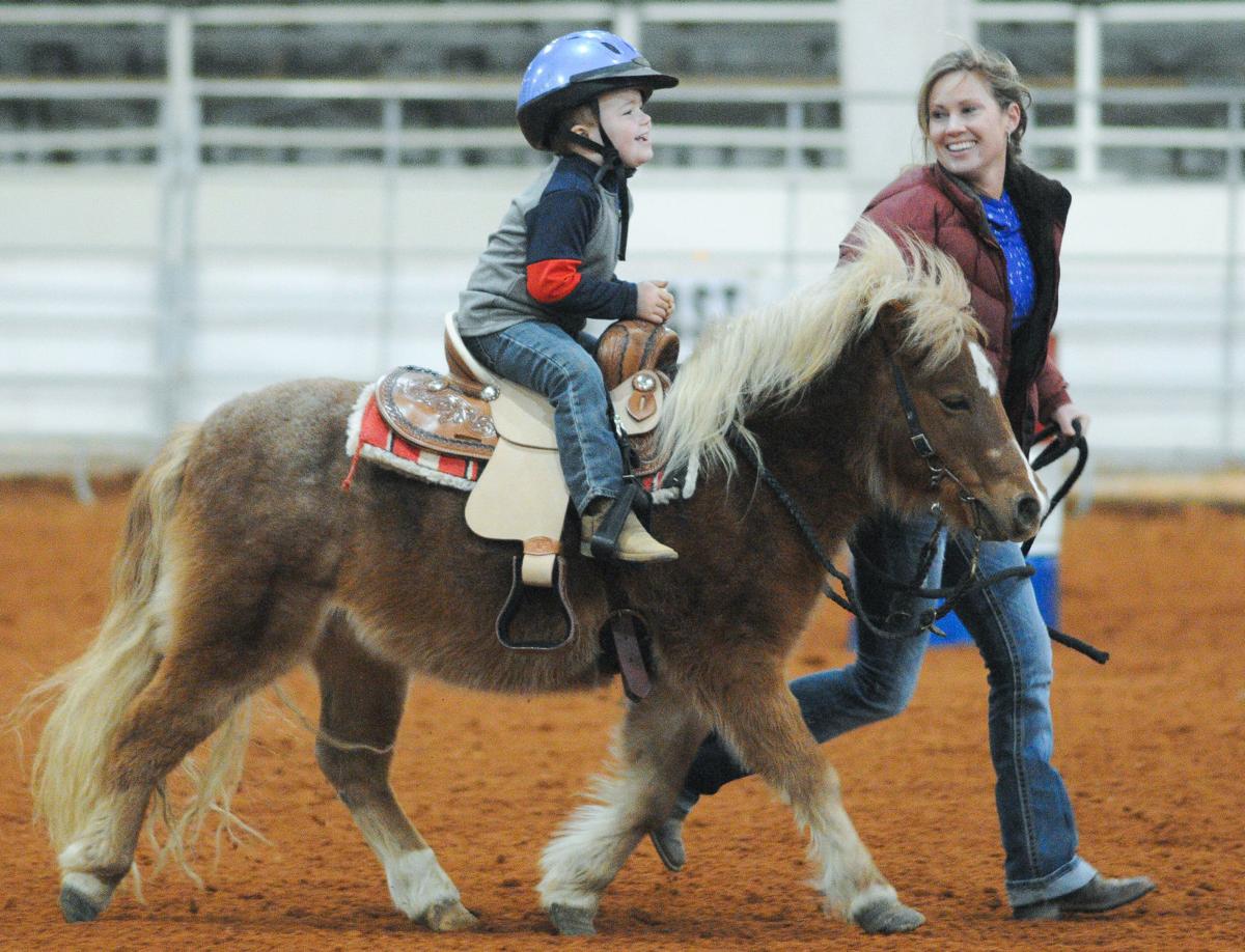 5 Things to Do Entertainment