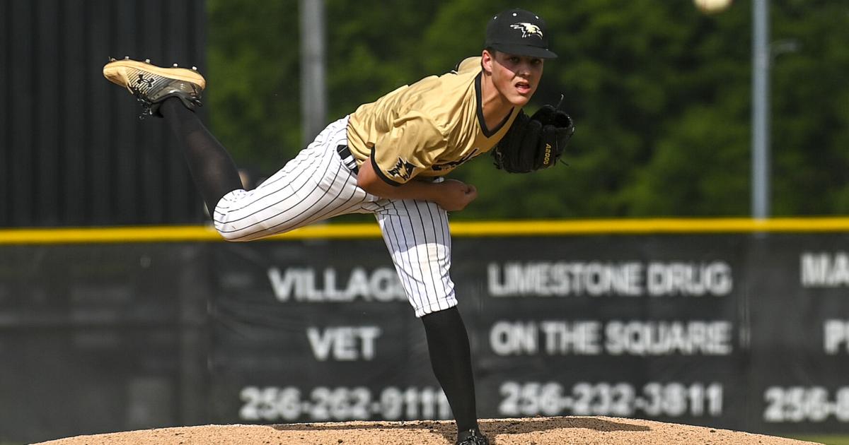 Decatur High Baseball CLASS 5A-7A ALL-AREA BASEBALL TEAM | High School | decaturdaily.com