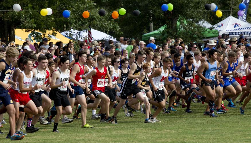 7 Things to Do Entertainment