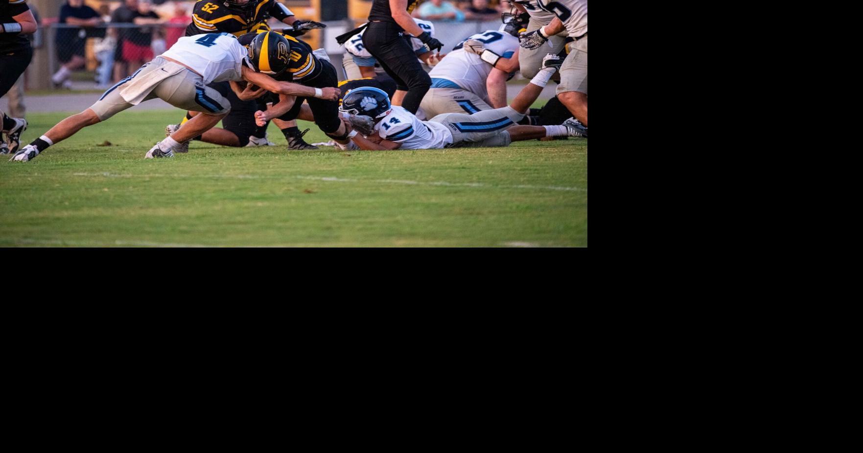DecaturDaily.com - Priceville opens with 20-8 win over Plainview image