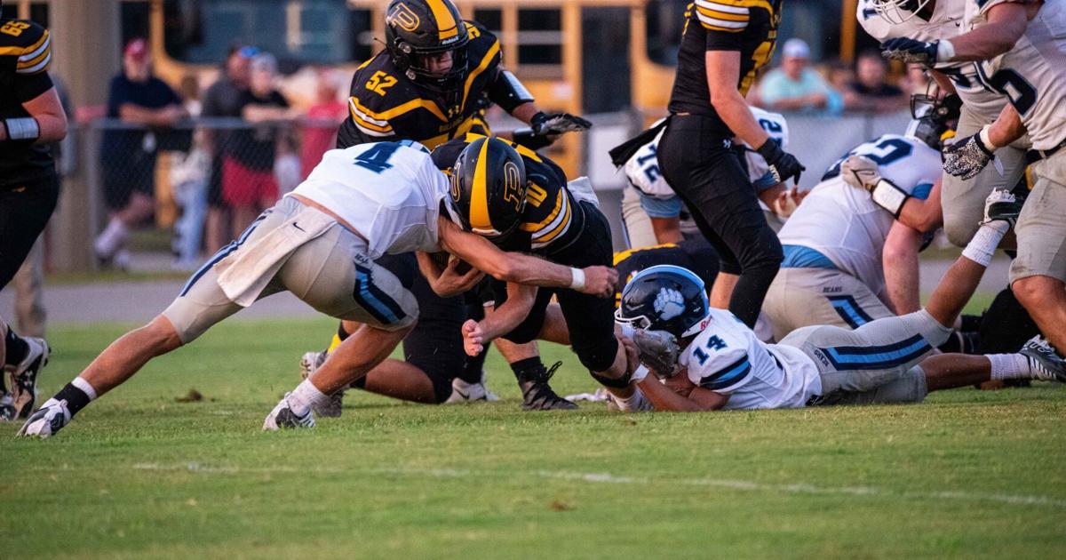 DecaturDaily.com - Priceville opens with 20-8 win over Plainview image