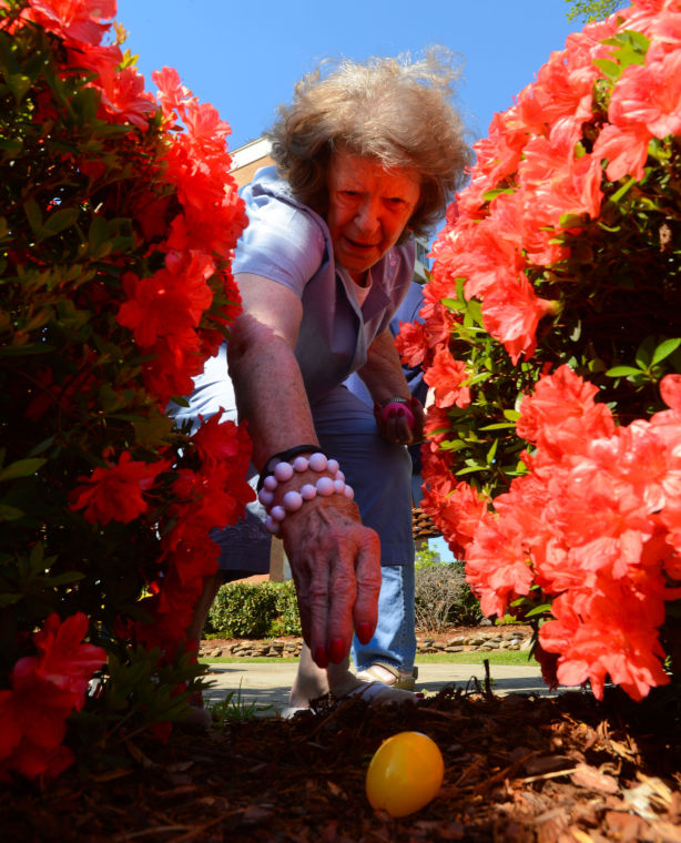 Senior Citizens Hunt Easter Eggs Gallery