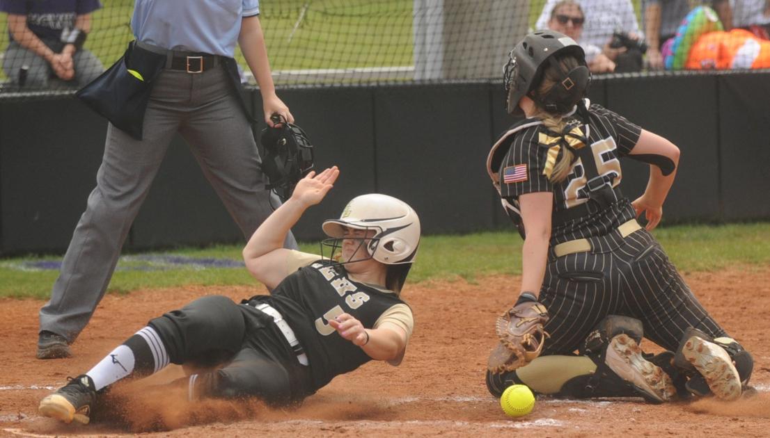 DecaturDaily.com - Shutout success: Danville to play for area title image