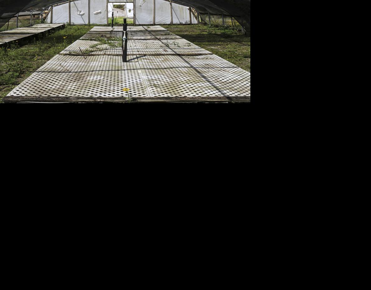 Master Gardeners to take over city greenhouses Decatur