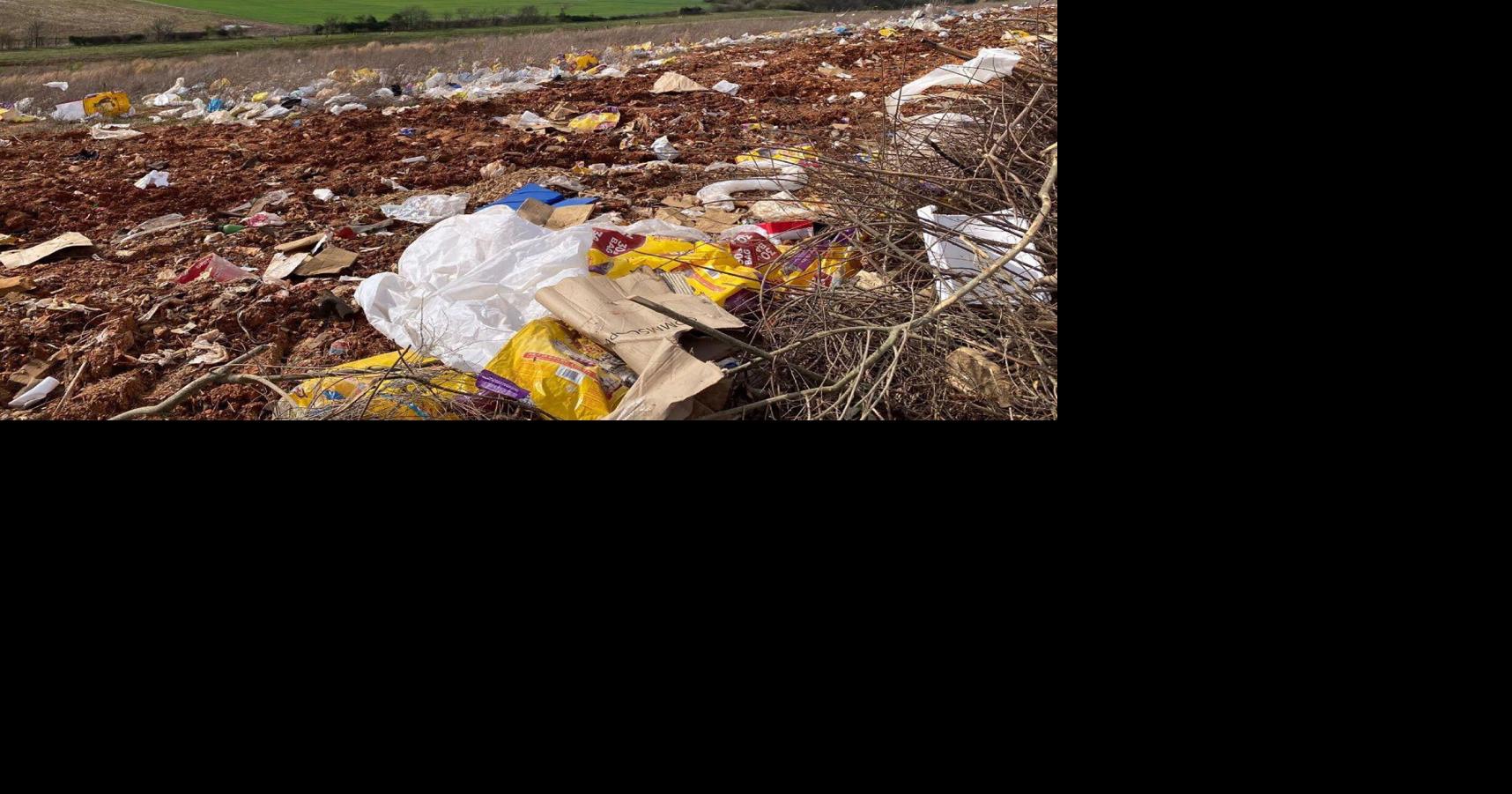 Decatur landfill fined by state environmental agency County