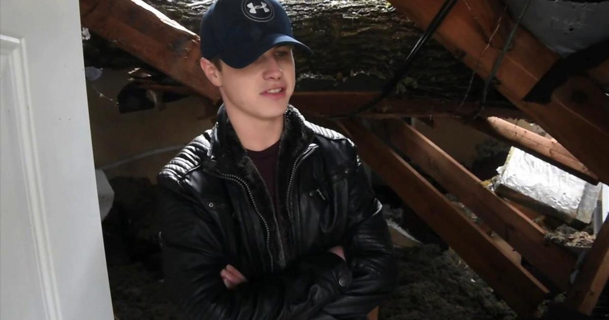 Tree Falls Through Roof | Multimedia | decaturdaily.com