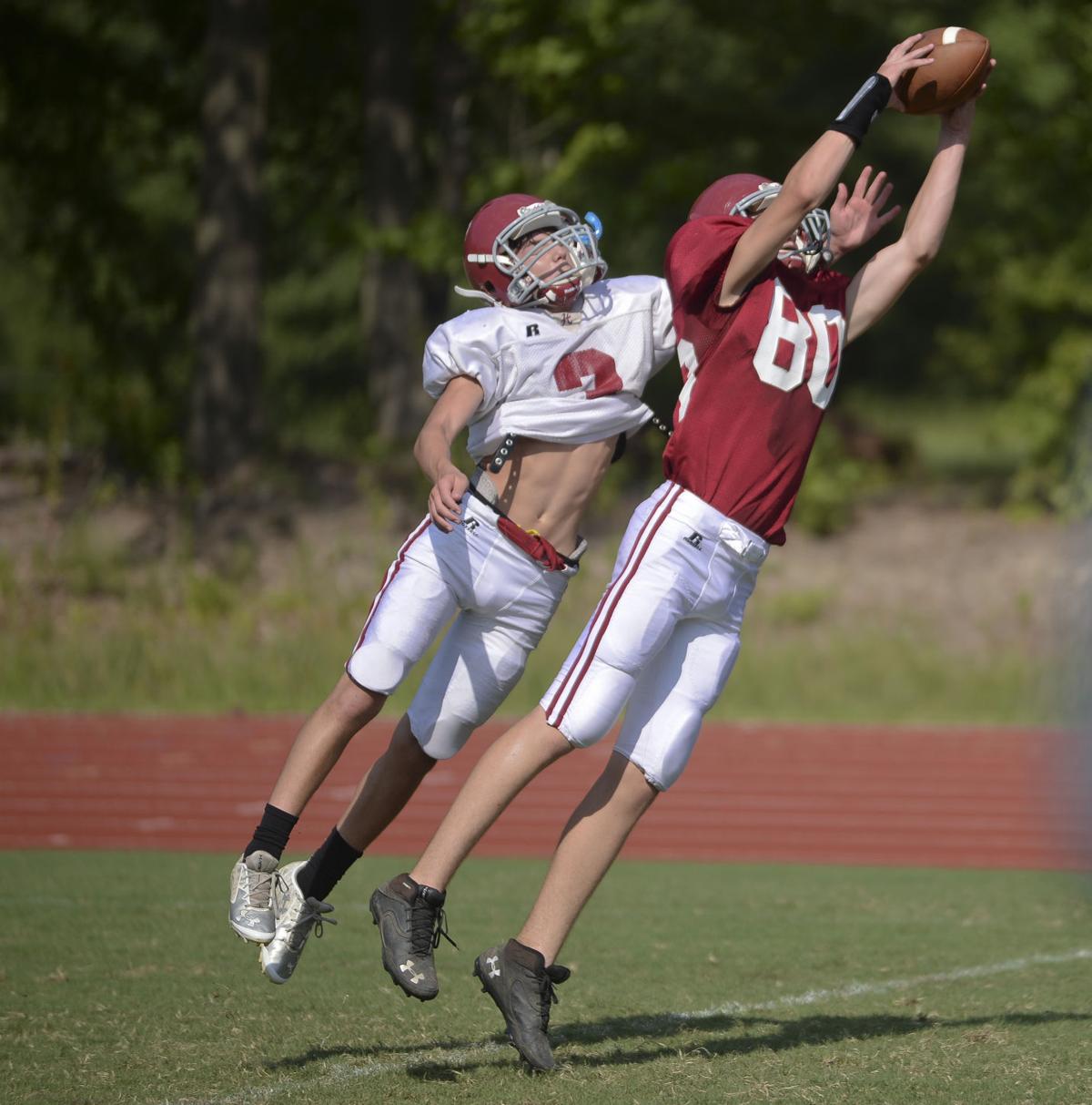Football Preview Hartselle Tigers High School Decaturdaily Com