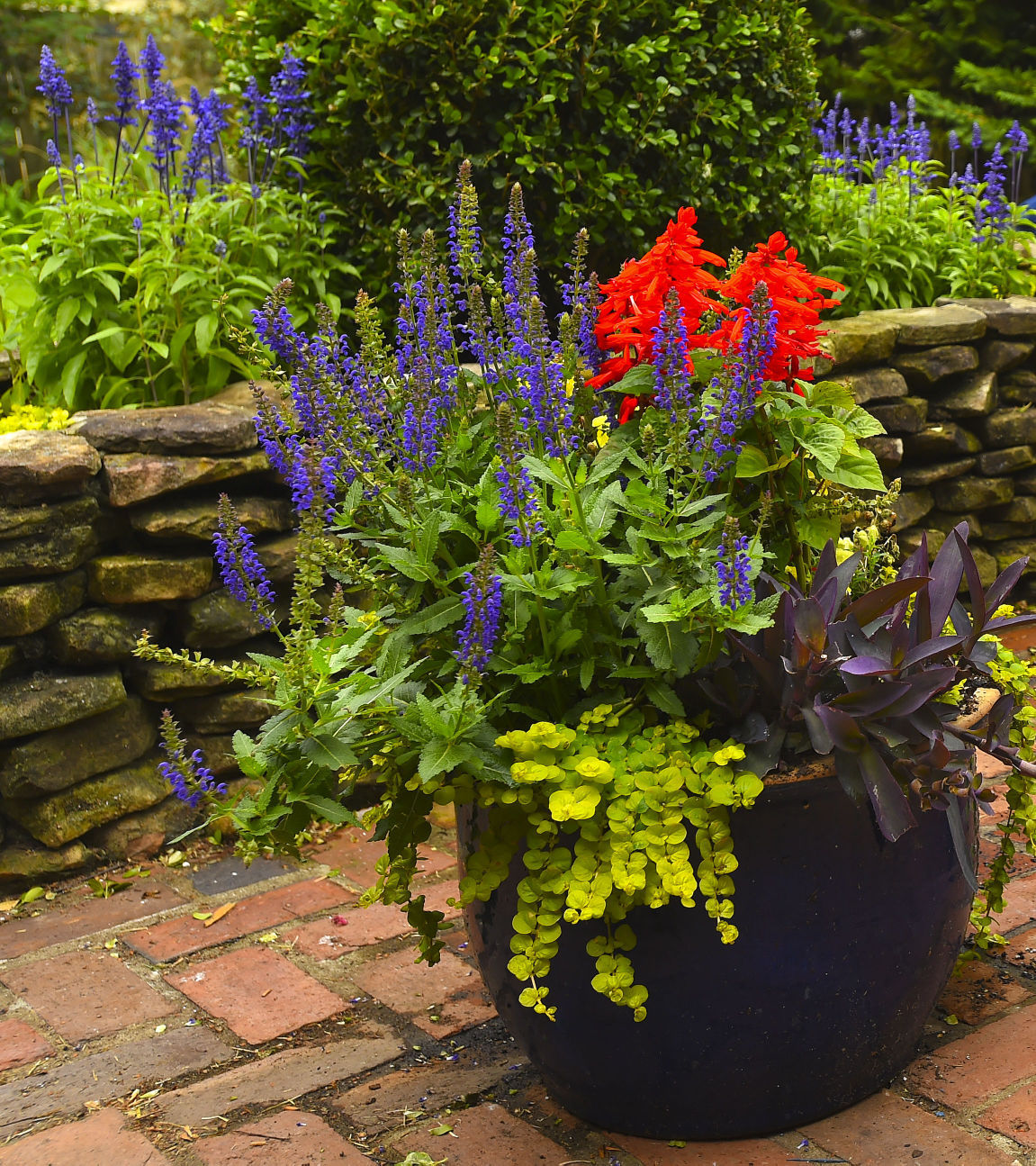 Decatur Historic Garden Tour Gallery