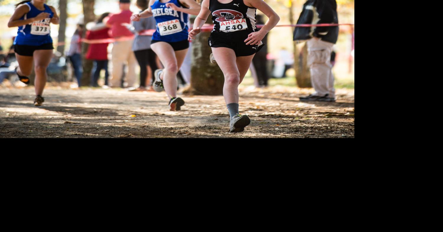 State Cross Country Meet | Sports | decaturdaily.com