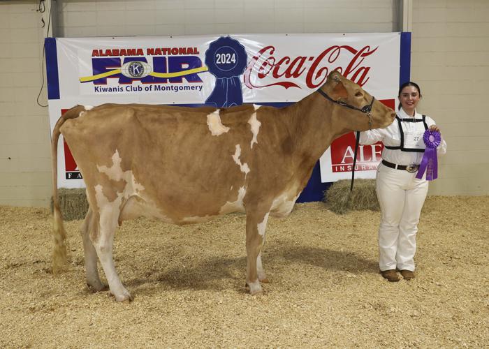 Chatterbox Decatur teen earns Eagle Scout status Chatterbox