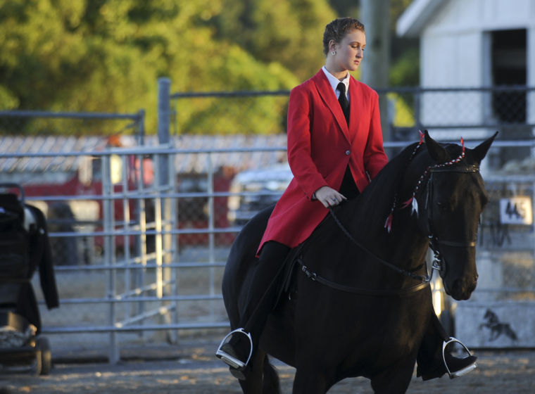 Racking Horse World Celebration News