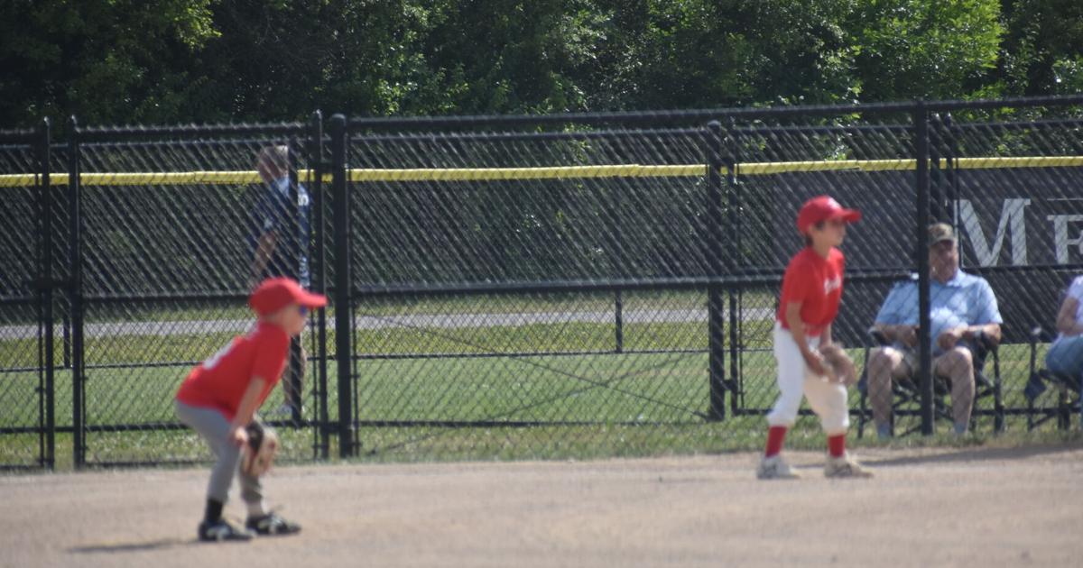 Decatur baseball regular season down to final game | Sports ...