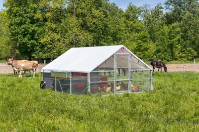 Mobile Chicken House Designs Cut Feed Waste with Automated Delivery Systems