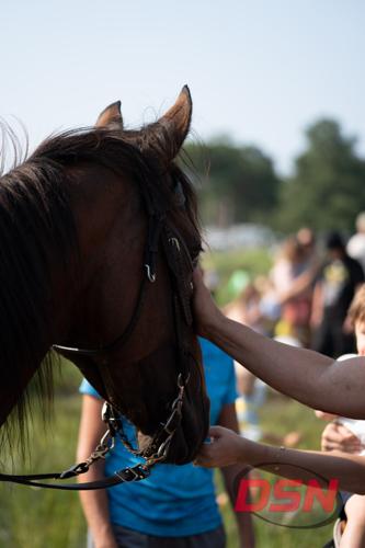 Kids petting a horse's nose in the marsh.jpg
