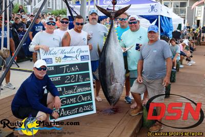 Game Over Takes 2nd on Tuna Leaderboard on Day 4