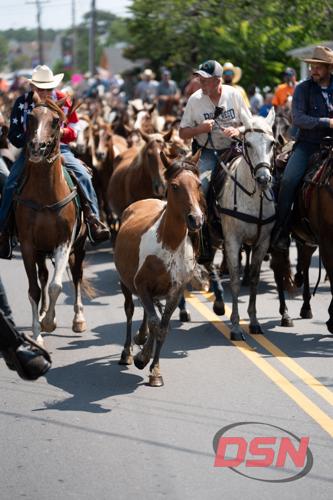 A pony tries to run away during the parade