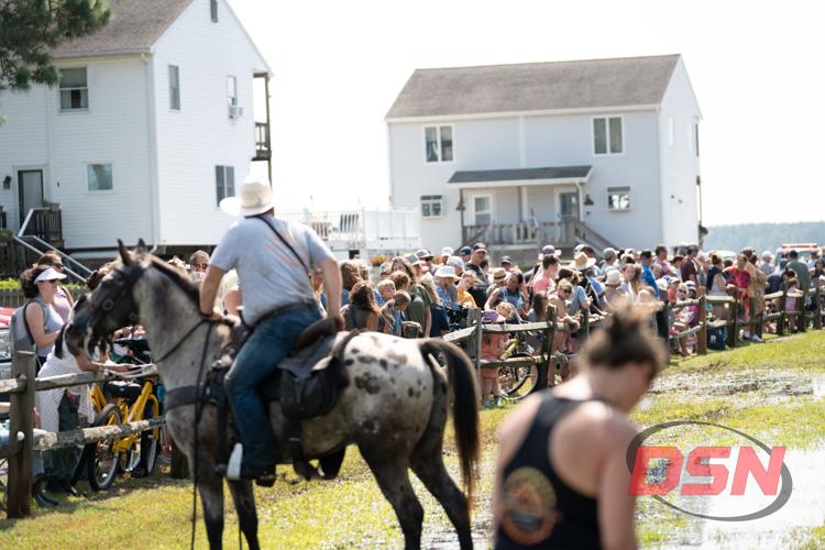 Saltwater Cowboy prepares for ponies to arrive to the marsh