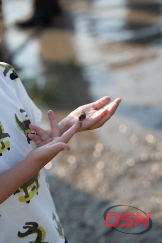 Boy holding a small crab in his hand.jpg