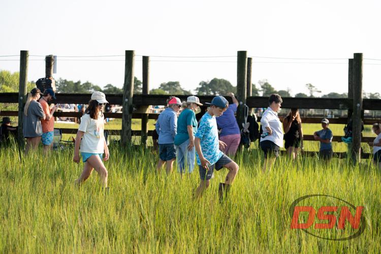 Crowd walking through the marsh toward the pier.jpg