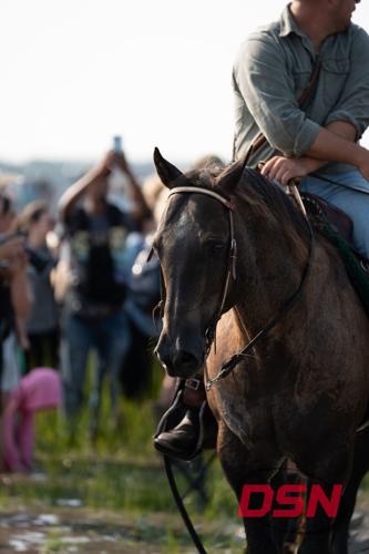 Saltwater Cowboy's horse standing calmly as the crowd photographs it.jpg