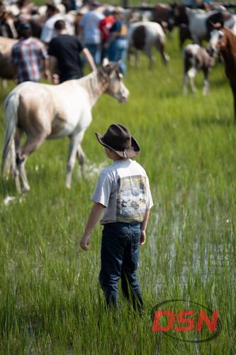 Boy in a cowboy hat and Wild Pony shirt watching the herd.jpg