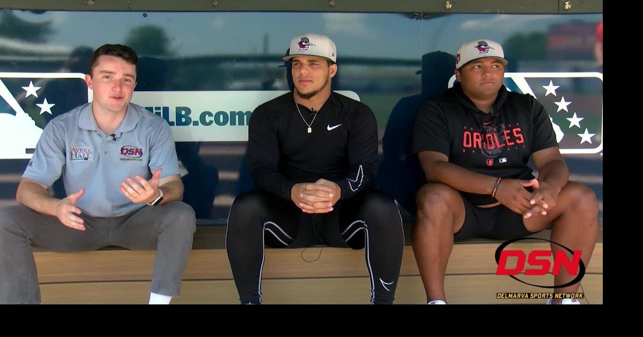 Shorebirds Sit Down Aneudis Mordán Features