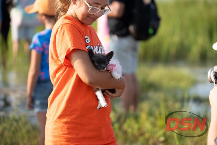 Girl holding a puppy in a pink tutu.jpg