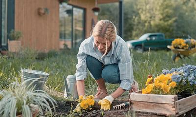 Grow Healthier Plants (and Use Less Water) by Improving Your Soil