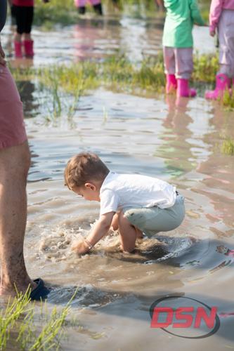 Toddler splashing in a marsh puddle.jpg