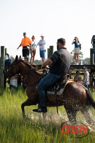 Saltwater Cowboy galloping through the marsh water.jpg