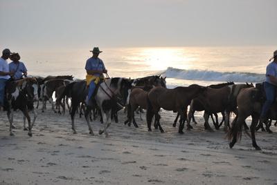 Pony Swim Saltwater Cowboys