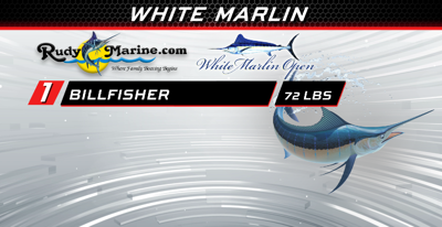 Day 3 White Marlin