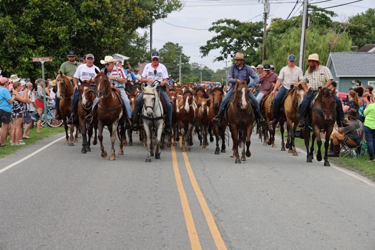 Chincoteague Pony Swim roundups
