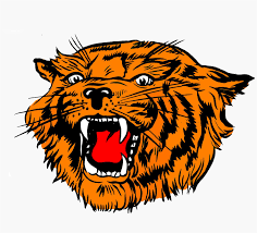 Delmar Wildcats