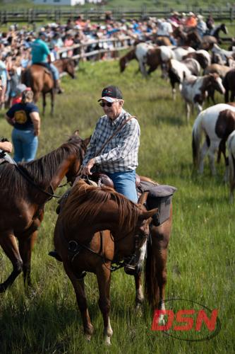 Saltwater Cowboy herding ponies into the corral past the fence-lined crowd.jpg