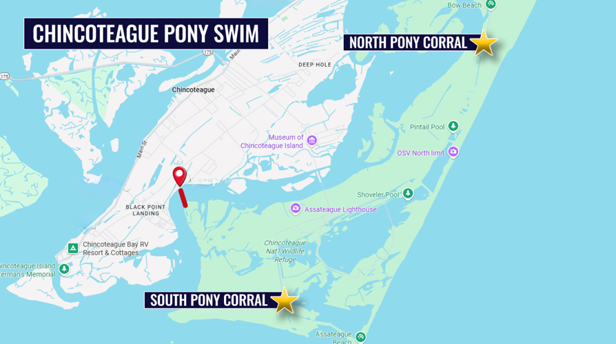 Chincoteague Pony Swim map