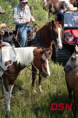Saltwater Cowboy in patriotic hat resting on his horse.jpg