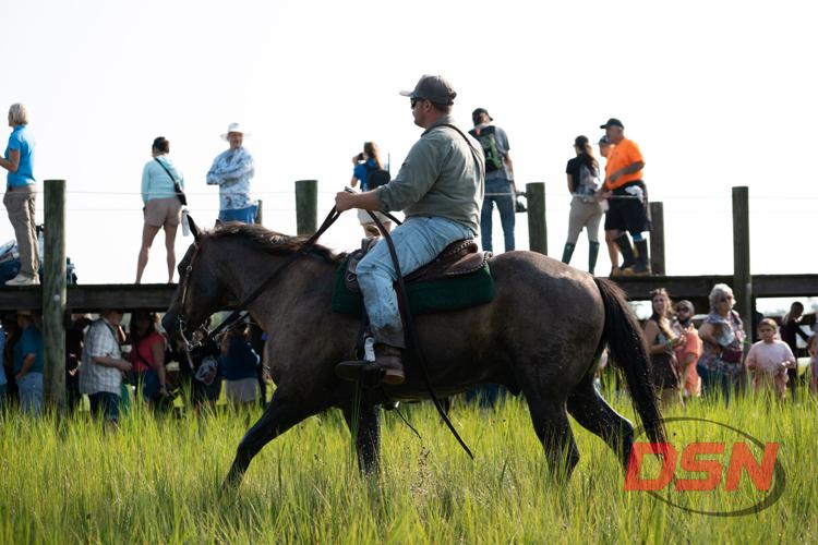 Saltwater Cowboy riding past the dock lined with spectators.jpg