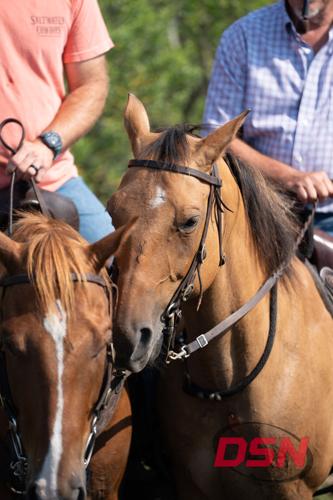 Close-up of two horses with Saltwater Cowboys riders on top.jpg