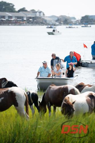Boaters watching ponies graze from just offshore.jpg