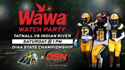 Wawa Watch Party DSN Indian River Tatnall
